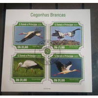 ЛИСТ ФАУНА ПТИЦЫ  СТО