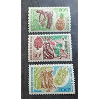 Кот-Д Ивуар 1967 Редкость