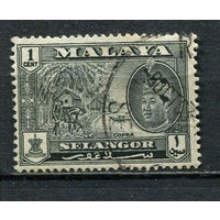 Малайские штаты - Селангор - 1961/1962 - Султан Салахуддин Абдул Азиз Шах и местные виды 1С - [Mi.90] - 1 марка. Гашеная.  (Лот 62Gy)-T4P32