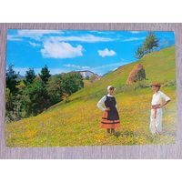 Этнография. Испания, Васконгадас. Пара в региональной одежде