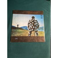 Пластинка Pink Floyd - Delicate Sound Of Thunder