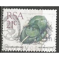 ЮАР. Гастерия Амстронга. 1990г. Mi#794.