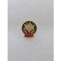 Туризм. Болгария. Федерация туризма. Эдельвейс. #-VI-08