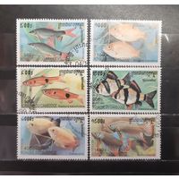 Камбоджа. 1999 год. Фауна. Рыбы (1260)