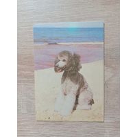 Календарик 1991