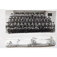 Фото в коллекцию