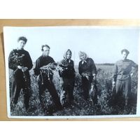 Фото в коллекцию