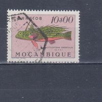 [511] Португальский Мозамбик 1951. Фауна.Рыба.10 э. Гашеная марка.