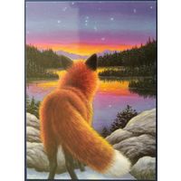 Восходящий Орион. Bridget Voth. Беларусь. 2022 г.