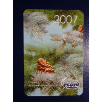 Календарик 2007 г.  Шишки.