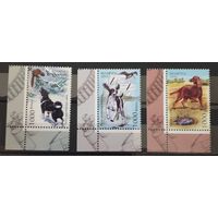 2010 Собаки Беларусь