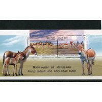 Индия. Фауна. Дикий осел. Блок