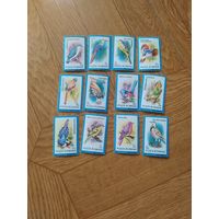 Румыния серия марок 1991г. Птицы.