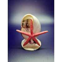 Сувенир из ракушек