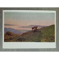 1959. Даиров. Сенокос в горах