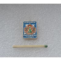 Ансамбль танца. Красноярск.