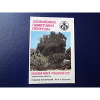 Календарик 1987 г.  Красная книга Узб.ССР.  Платан восточный.  Ташкентская обл.