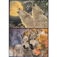 Ранний снегопад. Лунный свет. Lucie Bilodeau.Беларусь. 2018,20 гг.