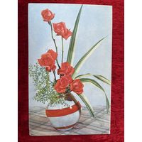 Е. Игнатович. Розы. 1968 год. Чистая