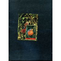 ОАЭ, АДЖМАН ,  ПОЧТОВЫЙ БЛОК  птицы  ,1972,          (на  "СКАНЕ" справочно приведены номера и цены по Michel)