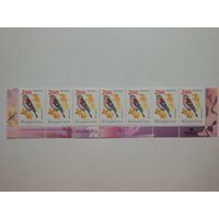 Беларусь. 2006. Девятый стандарт. Зак. 94-2006. Лист 7х3. Нижняя сцепка (А017)