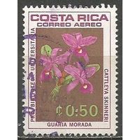 Коста-Рика. Авиа. Цветы. Орхидеи. 1967 г. Mi#716.