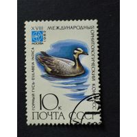 1982 СССР. 18й международный орнитологический конгресс. Птицы. Горный гусь