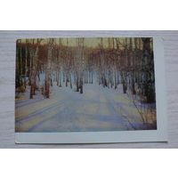 Природа. Подмосковье; 1963; чистая.