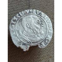 Распродажа - грош 1531г.,Герцогство Пруссия,Альбрехт Гогенцоллер