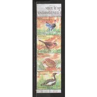 ФФ1 Индия 2006 Птицы