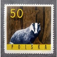 Марка Польша 1965 год Фауна