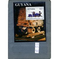 ГАЙАНА,1989,  почт блок     ЛОКОМОТИВЫ,   гашен