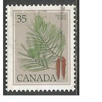 Канада. Сосны. 1979г. Mi#719.