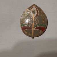 Значык 90 Запалкавай фабрыцы імя С.М.Кірава 1901 - 1991-Барысаў (цяжкі)