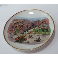 Тарелка фарфоровая настенная 70-80-е годы США. Диаметр 16 см.