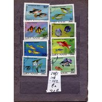 ВЬЕТНАМ, 1981,  Рыбы, серия 8м, гашен