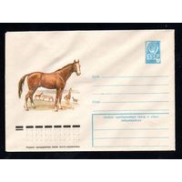 Художественный маркированный конверт СССР N 12421 (02.11.1977) Лошадь донской породы