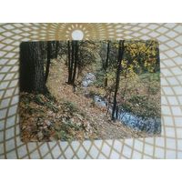 Открытка СССР 1989 год.   Чистая. Ю.Буркин.  Состояние на скане.