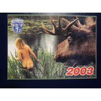 Календарик 2003 г.  Вечерний Брест.