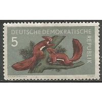 ГДР. Лесные звери. Белка. 1959г. Mi#737.