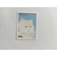 Конго 1996 коты