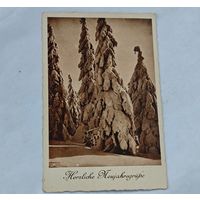 До 1917 года  открытка