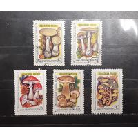 СССР. 1986 год. Флора. Ядовитые грибы (гашеные и чистые марки) (950)