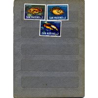 САН-МАРИНО, 1960   3м  РЫБЫ,     ** чист