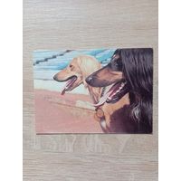 Календарик 1993