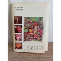 Грибы. Экскурсия в природу.25 открыток. 1980г.