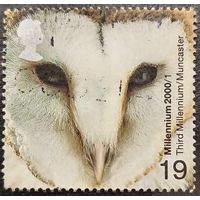 Великобритания 2000. Сова