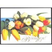 2000 ДМПК Беларусь Поздравляем