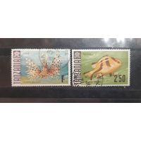 Танзания. 1967 год. Фауна. Рыбы (48)