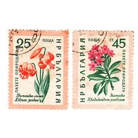 Болгария Цветы